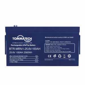 mrn 1 25.6v 100ah 1.png